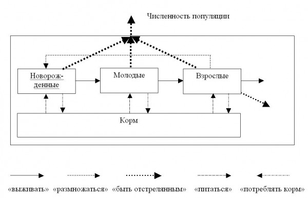 Графическое отображение состава и структуры сложной системы