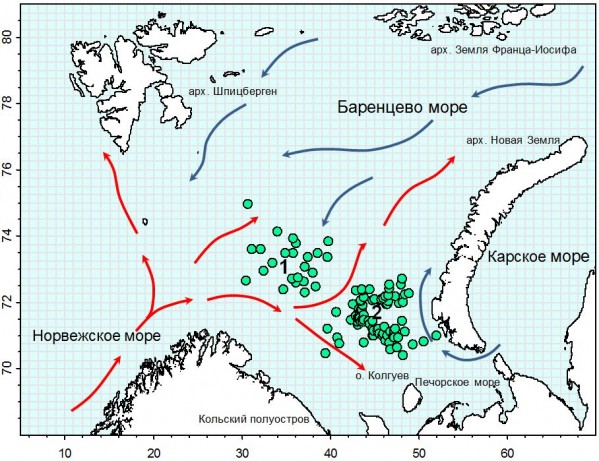 Теплые моря на карте. Карта течений Баренцева моря. Морские течения Баренцева моря. Нордкапское течение в Баренцевом море.